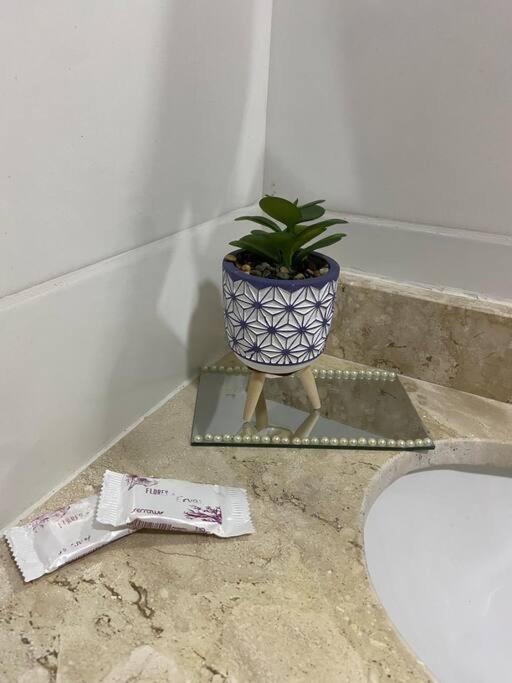 Flat Elegante E Bem Localizado Lägenhet Feira de Santana Exteriör bild